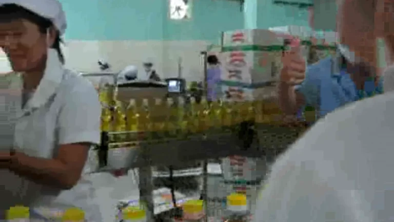 Filled and capped edible oil bottles moving to downstream handling