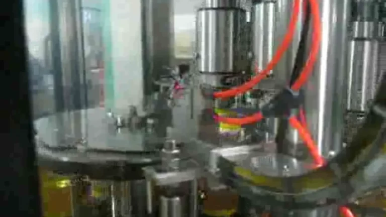 Rotary filling section dosing edible oil into clear plastic bottles
